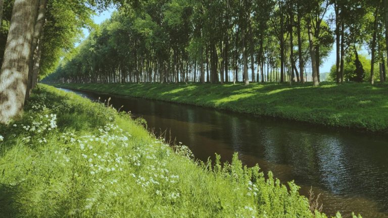 Is May 27 a Holiday? Everything You Need to Know