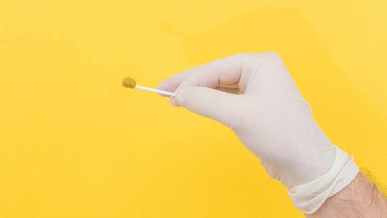 Top Veterinary Medicine Distributors: The Key to Quality Care