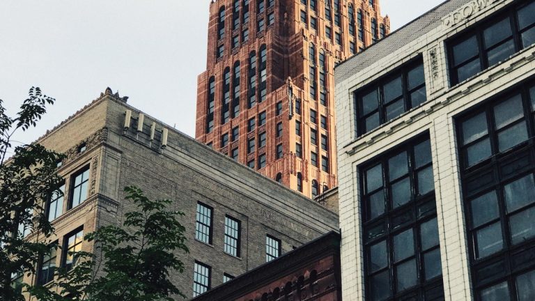 Proper Drontal Plus Dosage for Dogs: A Comprehensive Guide