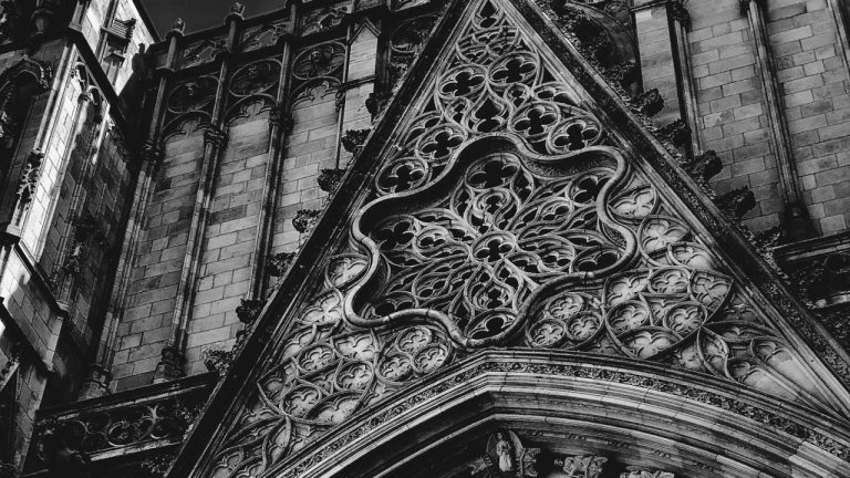 Understanding the Benefits of Imrab 3 TF: A Comprehensive Guide