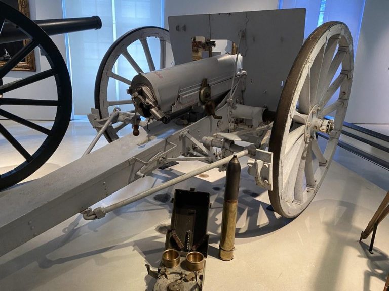 Understanding Fatal-Plus: What You Need to Know