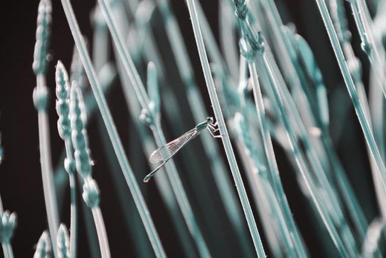 Fiberglass Casting Tape: Benefits and Uses