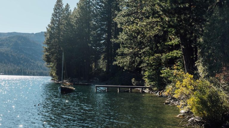 Drew Barrymore’s Daughter: A Glimpse into Her Private Life